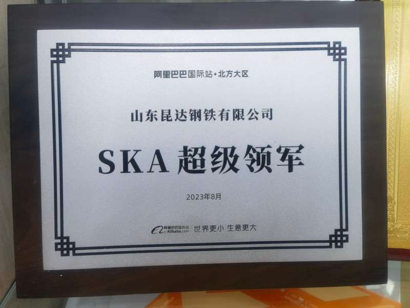 SKA超級領(lǐng)軍